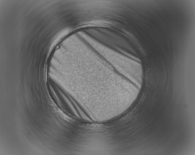 X0000076321180200610201631