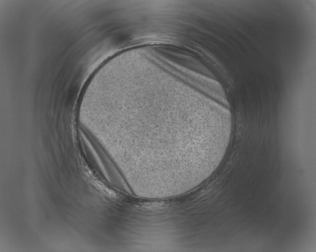 X0000076321182200610201631