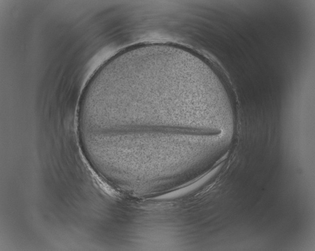 X0000076321183200610201631