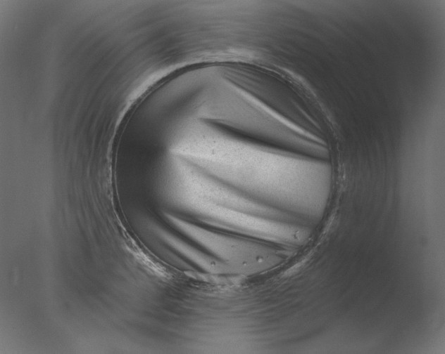 X0000076321184200610201631