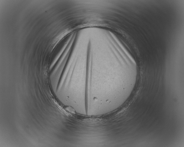 X0000076321185200610201631