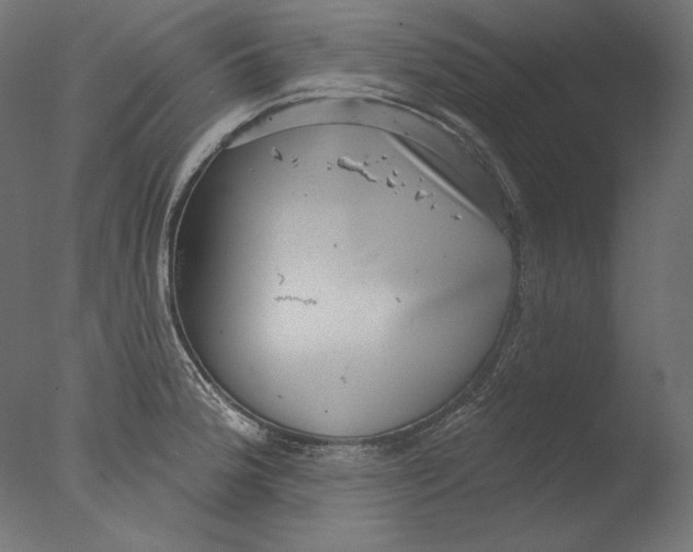 X0000076321188200610201631