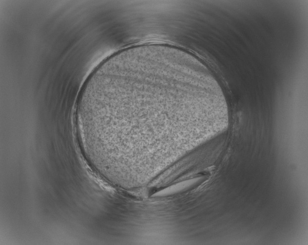 X0000076321190200610201631