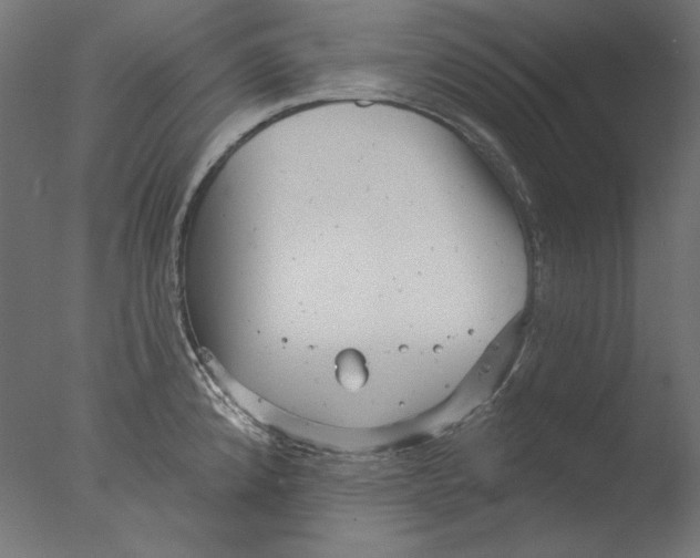 X0000076321192200610201631