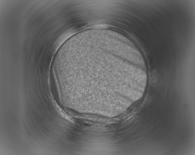 X0000076321194200610201630