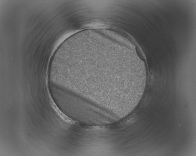 X0000076321195200610201630