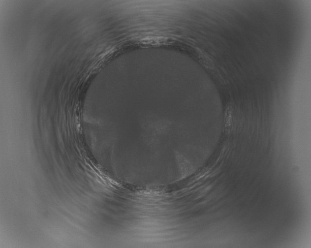 X0000076321202200610201630