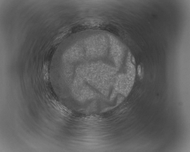 X0000076321203200610201630