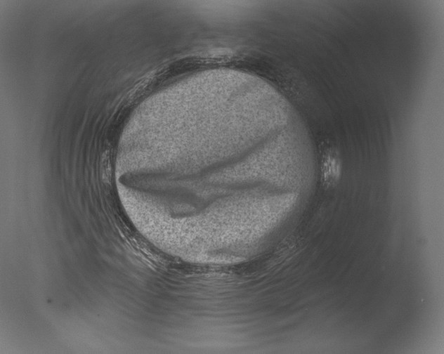 X0000076321204200610201630