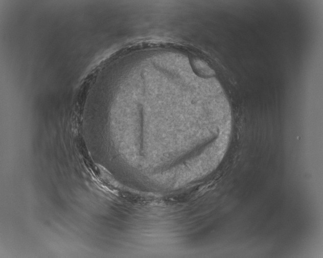 X0000076321207200610201630