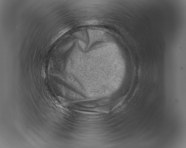 X0000076321209200610201630