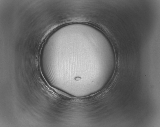 X0000076321212200610201630