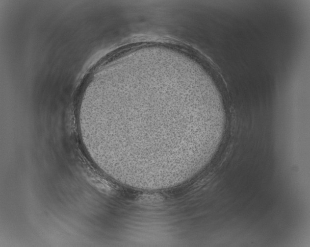 X0000076321215200610201630