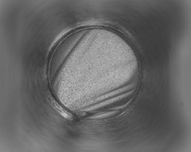 X0000076321216200610201630