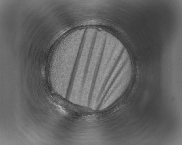 X0000076321217200610201630