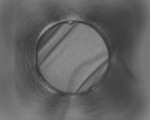 X0000076321222200610201630