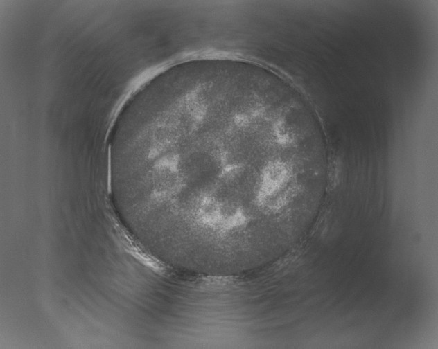 X0000076321223200610201630