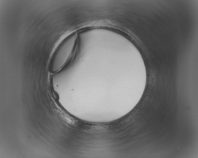 X0000076321224200610201630