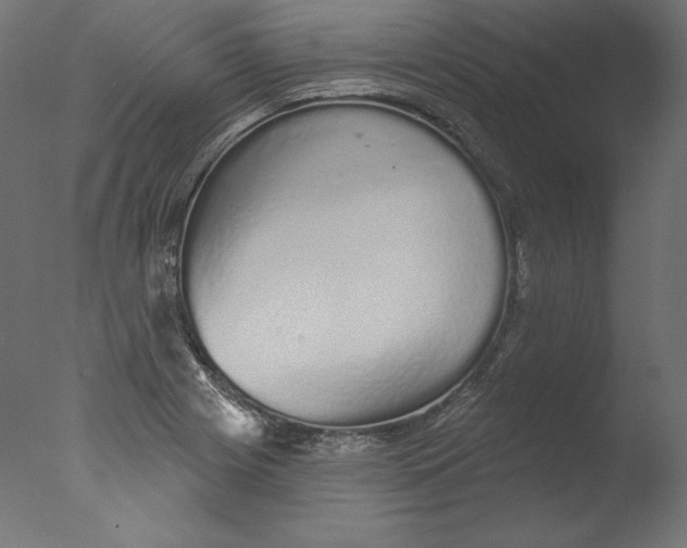 X0000076321225200610201630