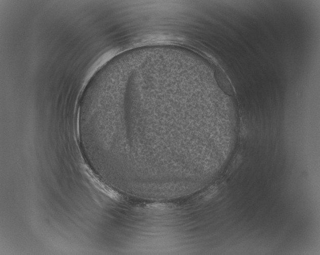 X0000076321227200610201630