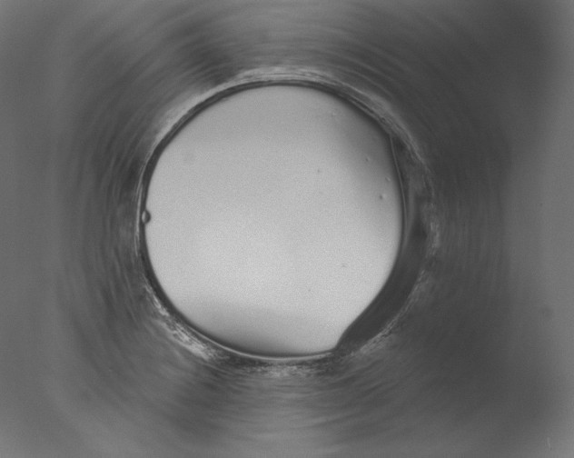 X0000076321228200610201630