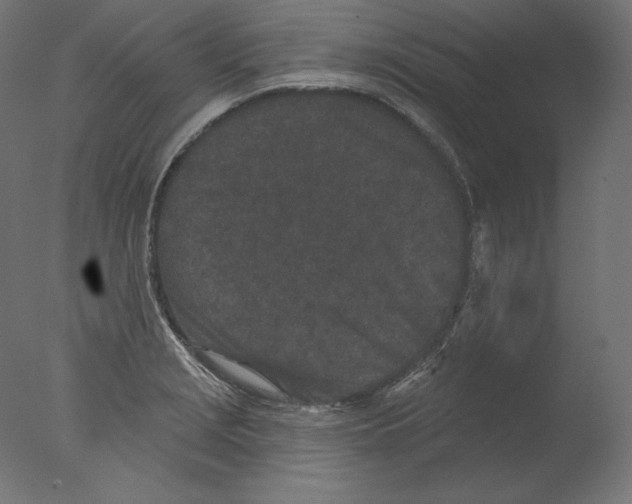 X0000076321229200610201630