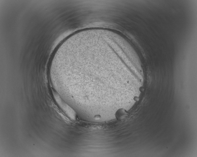 X0000076321230200610201630