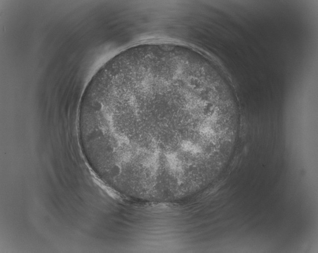 X0000076321231200610201630