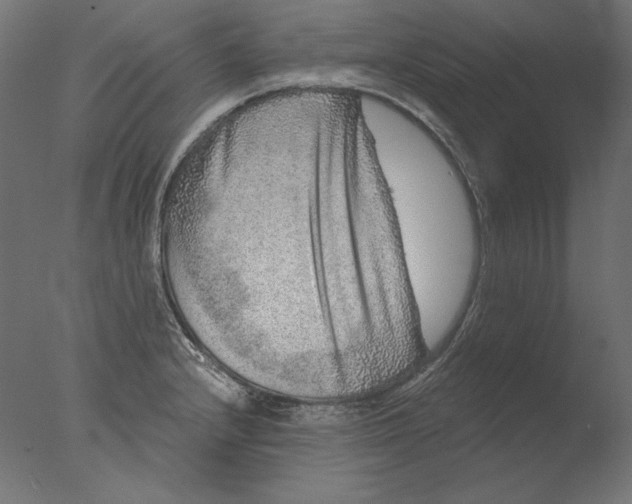 X0000076321232200610201630