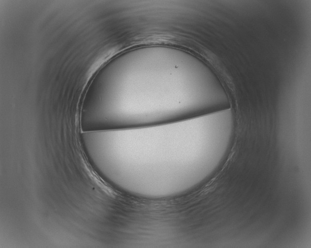 X0000076321234200610201630