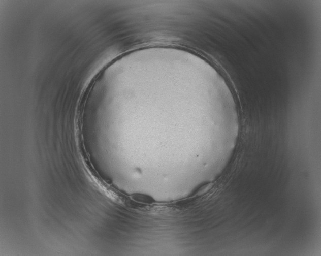 X0000076321235200610201630