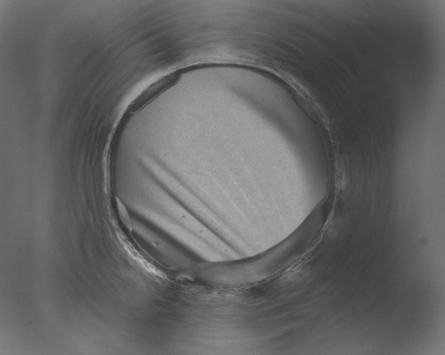 X0000076321238200610201630