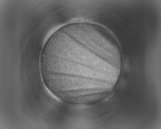 X0000076321239200610201630