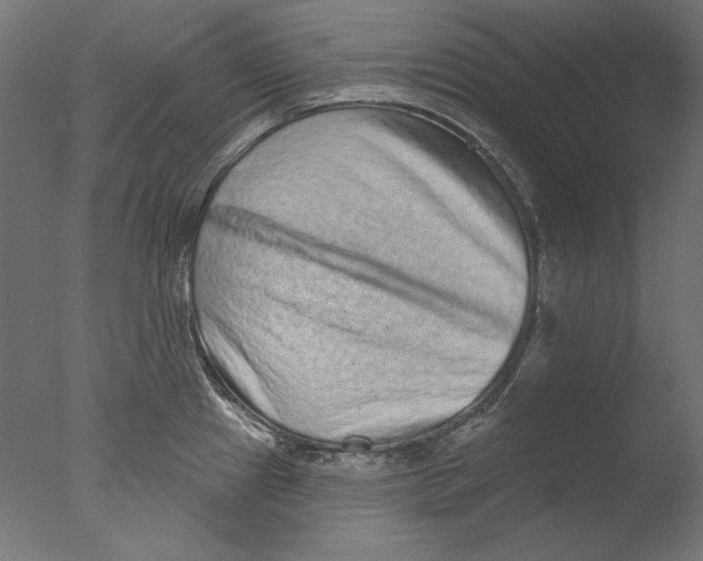 X0000076321241200610201630