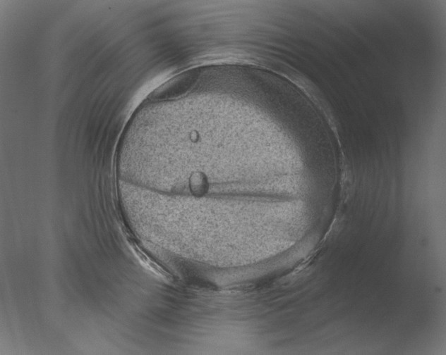 X0000076321242200610201630