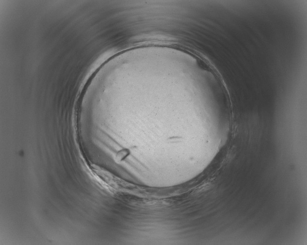 X0000076321243200610201630