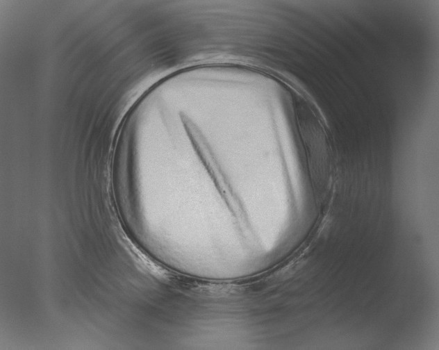 X0000076321244200610201630