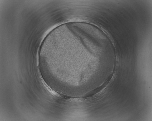 X0000076321246200610201630