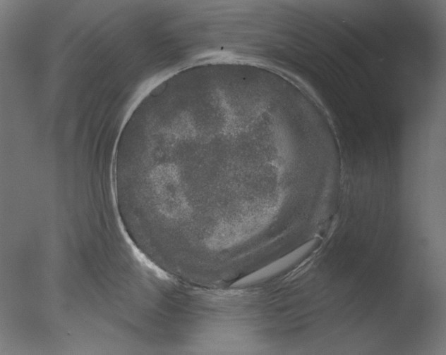 X0000076321247200610201630