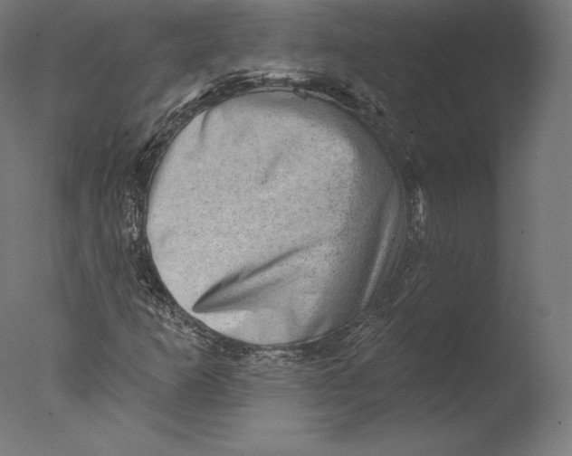 X0000076321253200610201629