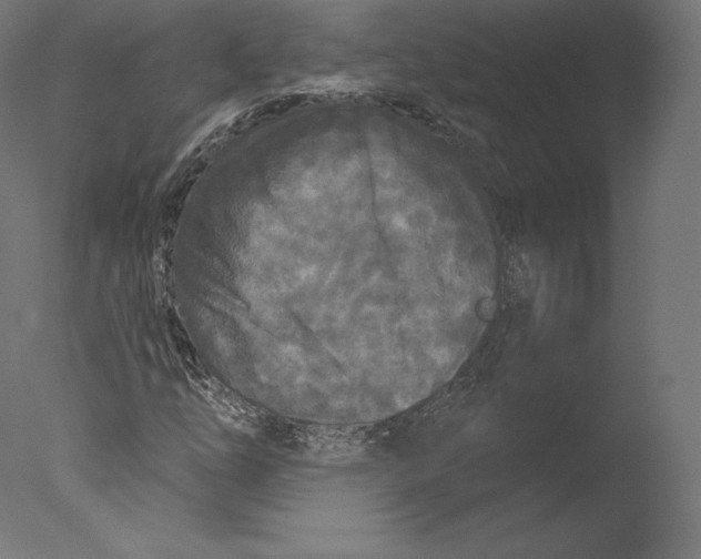 X0000076321254200610201629