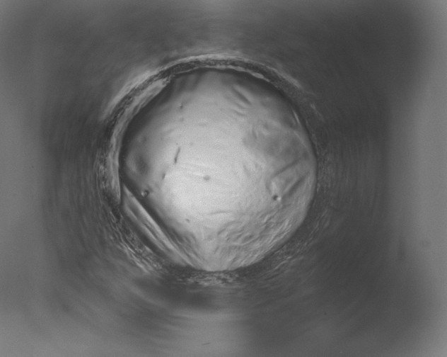 X0000076321255200610201629