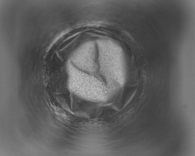 X0000076321256200610201629