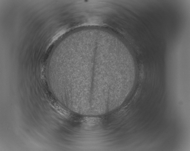 X0000076321258200610201629