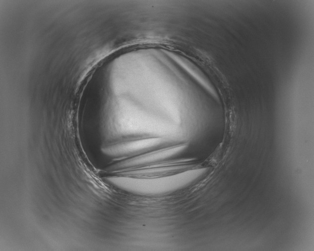 X0000076321260200610201629