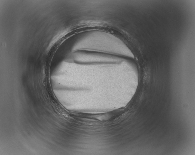 X0000076321261200610201629