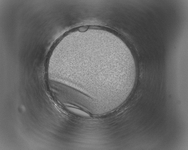 X0000076321264200610201629