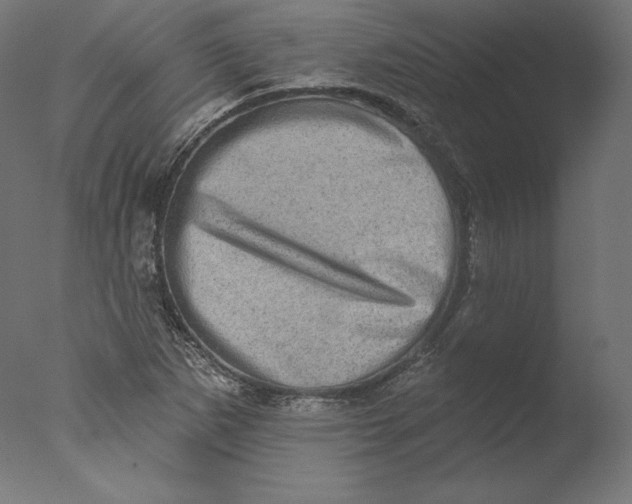 X0000076321265200610201629