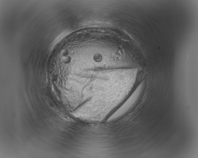 X0000076321267200610201629