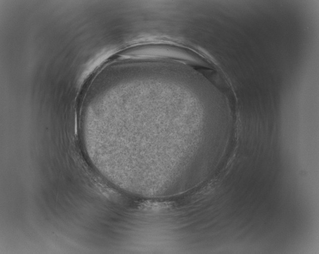 X0000076321269200610201629